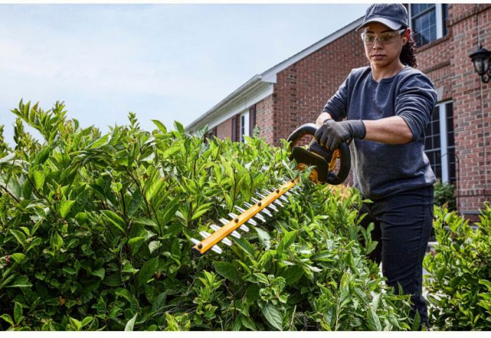 Кущоріз акумуляторний безщітковий DeWALT DCMHT573X1