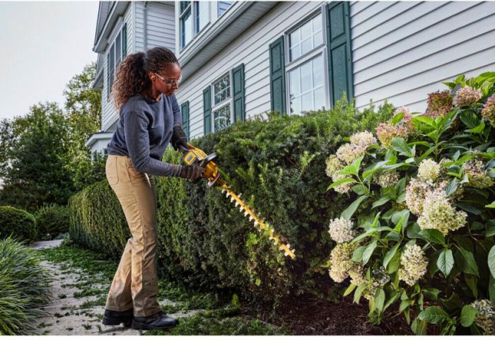 Кущоріз акумуляторний безщітковий DeWALT DCMHT573X1